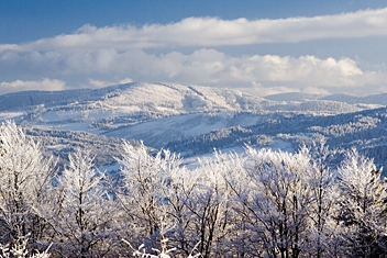 Fot.: Arch. Beskidy24.pl Fot.: Arch. Beskidy24.pl