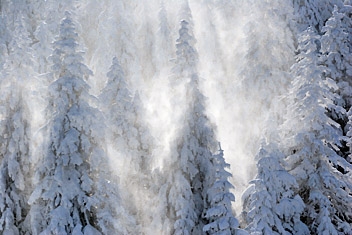Fot.: Arch. Beskidy24.pl Fot.: Arch. Beskidy24.pl