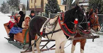 Jeśli nie będzie śniegu, Józef Kupczak zamieni sanie i na wóz z kołami i też zrobi turystom kulig (© Fot. Łukasz Gardas) Jeśli nie będzie śniegu, Józef Kupczak zamieni sanie i na wóz z kołami i też zrobi turystom kulig (© Fot. Łukasz Gardas)