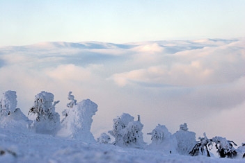 Fot.: Arch. Beskidy24.pl Fot.: Arch. Beskidy24.pl