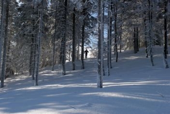 Fot.: Arch. Beskidy24.pl