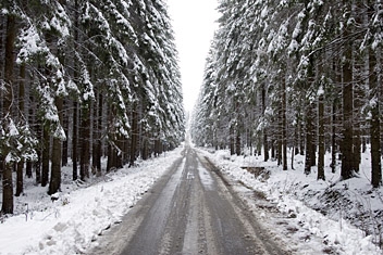 Fot.: Arch. Beskidy24.pl Fot.: Arch. Beskidy24.pl