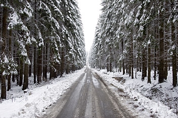 Fot.: Arch. Beskidy24.pl