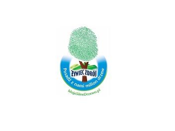 moje silne drzewo - logo moje silne drzewo - logo
