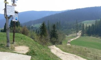 Pierwsza praca konkursowa - Wiosenne relacje z Beskidów Pierwsza praca konkursowa - Wiosenne relacje z Beskidów