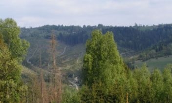 Zdjęcie z konkursowej relacji Zdjęcie z konkursowej relacji