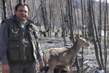 Niespodzianka w Leśnym Parku Niespodzianek Niespodzianka w Leśnym Parku Niespodzianek