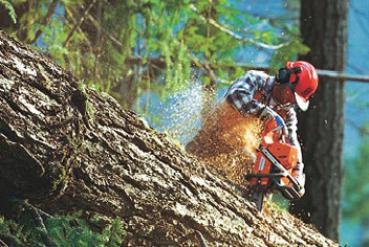 Husqvarna - pilarki w ruch… Husqvarna - pilarki w ruch…