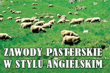 Zawody pasterskie w Brennej