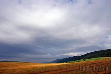 Halny podniósł temperaturę do 15 stopni Halny podniósł temperaturę do 15 stopni