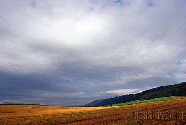 Halny podniósł temperaturę do 15 stopni