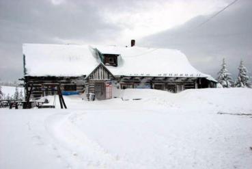 Warunki narciarskie w Beskidach, galeria zdjęć z Hali Miziowej