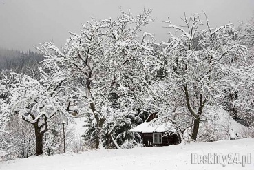 Pierwszy dzień kalendarzowej zimy w Beskidach