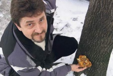 Justyn Kołek pokazuje zimówkę aksamitno-trzonową Justyn Kołek pokazuje zimówkę aksamitno-trzonową