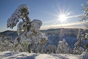 Fot.: Arch. Beskidy24.pl