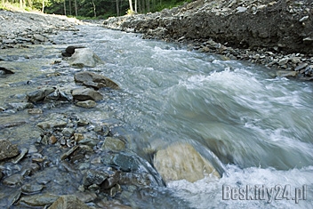 Potok Roztoka w Wielkiej Puszczy. W roku 2005 niewielka rzeka zerwała drogę, most, powstały liczne osuwiska.  Fot.: arch. Beskidy24.pl
