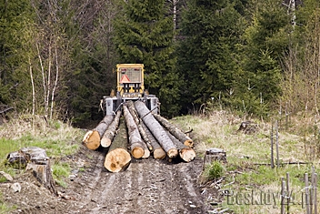 Fot.: Arch. Beskidy24.pl Fot.: Arch. Beskidy24.pl