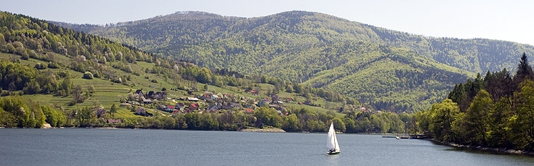 Solina